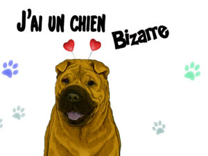 mug shar pei bizarre